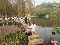-重庆彩云湖湿地公园