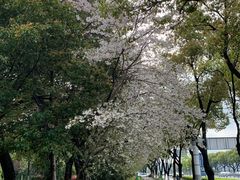 -玉山公园
