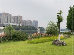 -眉山湿地公园(东坡区)