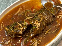 红烧石斑鱼-明香海鲜酒家(华强北店)