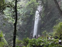 -莫里热带雨林景区