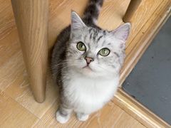 -猫咪派对(江南西店)