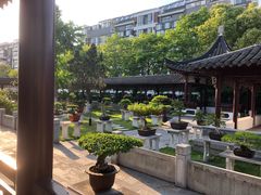 -泰州凤城河风景区-泰山公园