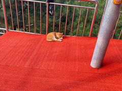 -青岛中山公园-索道售票处