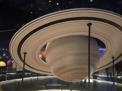 -贝林大翅鲸简餐厅(国家海洋博物馆店)