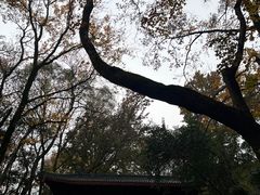 -岳麓山风景名胜区