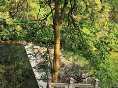 -黔灵山公园