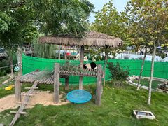 -西霞口神雕山野生动物世界