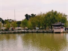 -八大山人梅湖景区