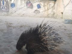 -杭州野生动物世界