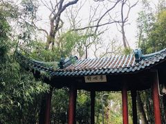 -赭山公园