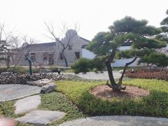 -上海滨江森林公园