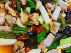 -聚乐城火锅(仁寿2023年餐饮名店)