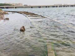 -丁香湖公园