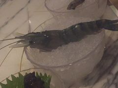 -雍和会海鲜姿造自助(湖东路店)