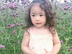 -大塘金香草谷