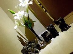-素可汤泉(天宝大厦店)