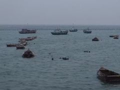 -烟墩角天鹅湖