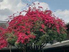 -和顺古镇