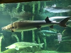 -华夏文旅海洋公园