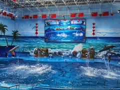 -多彩贵州城极地海洋世界