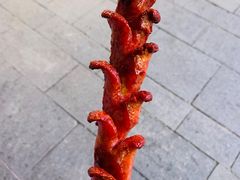 -虾小龙老长沙龙虾馆(坡子街店)