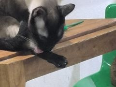 -磁器口古镇