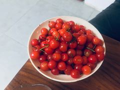 -知亘茶食