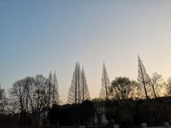 -贵阳市花溪国家城市湿地公园