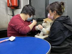 -PETKIT 小佩宠物·低压洗护·美容·寄养(安远店)