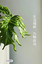 -元泉瑜伽培训学院