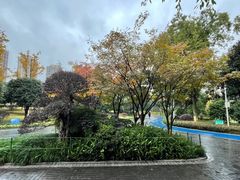-龙头寺公园