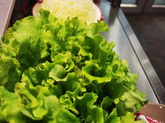 -生活如沸·顺德水牛奶火锅(大学路店)