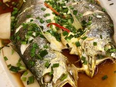 -乾隆美食·本帮菜(黄河路店)