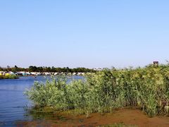 -春花秋色城市公园