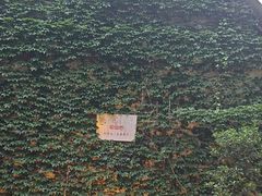 -宅里香.自然餐厅(湘大店)