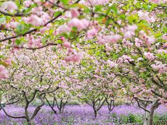 -白塘生态植物园