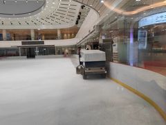 -陈露国际冰上中心(天津嘉里汇店)