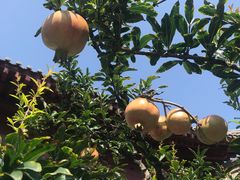 -西安华清御汤酒店