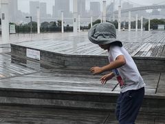 -台场海滨公园船码头