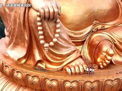 -溪口-滕头旅游景区