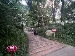 -成都市活水公园