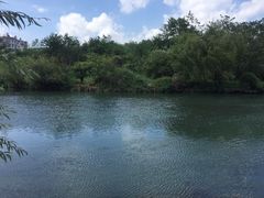 -贵阳市花溪国家城市湿地公园