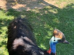 -西霞口神雕山野生动物世界