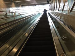 -大龙山(地铁站)