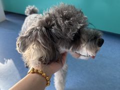 -博特宠物医院24h犬猫全科.骨科·异宠