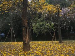 -南国桃园旅游度假区