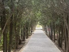 -白塔山公园