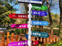 -上海共青森林公园