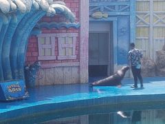 -华夏文旅西安度假区